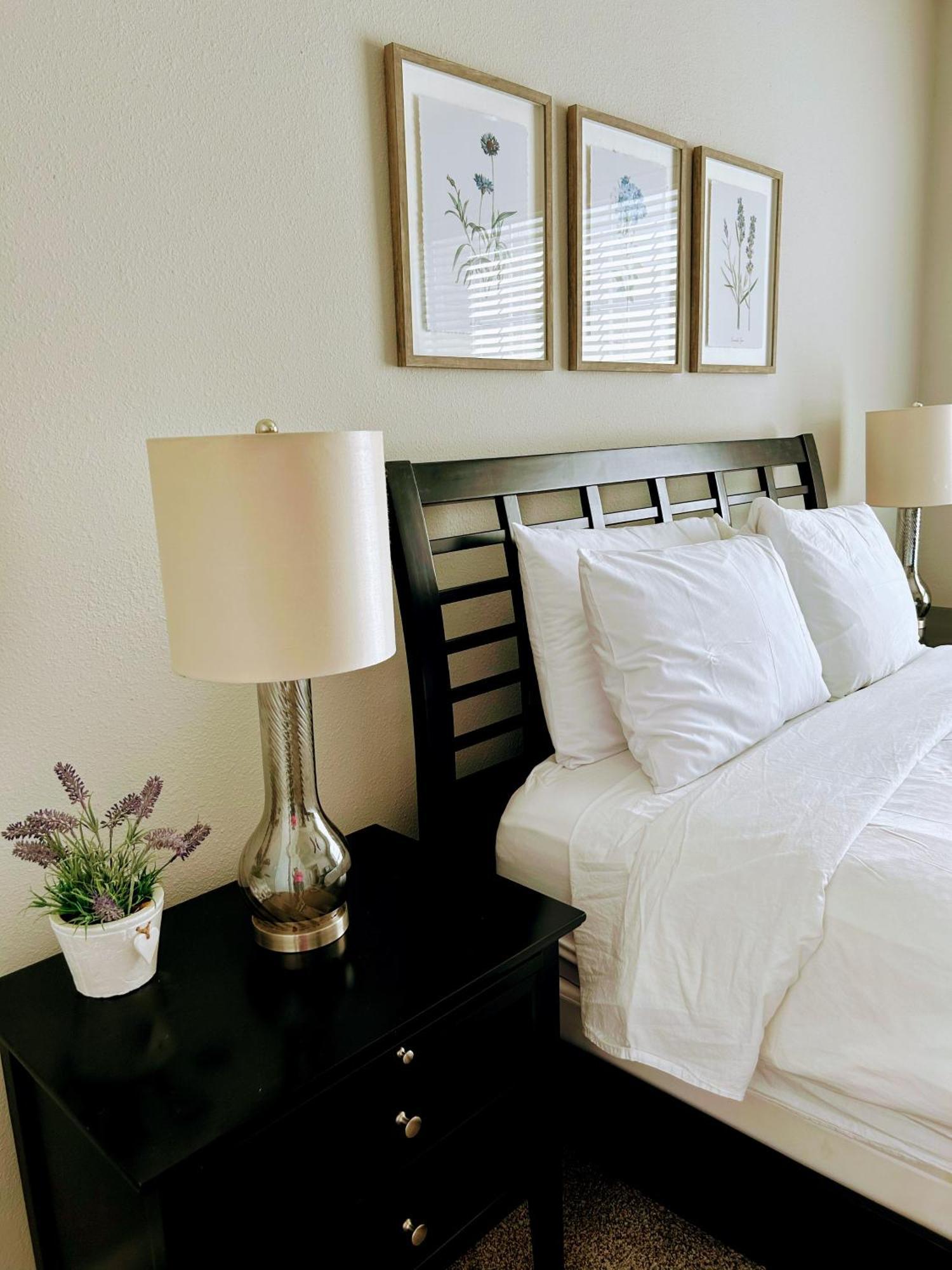 Hidden Gem At Med Center 2Br & 2Ba Apartment Houston Bagian luar foto